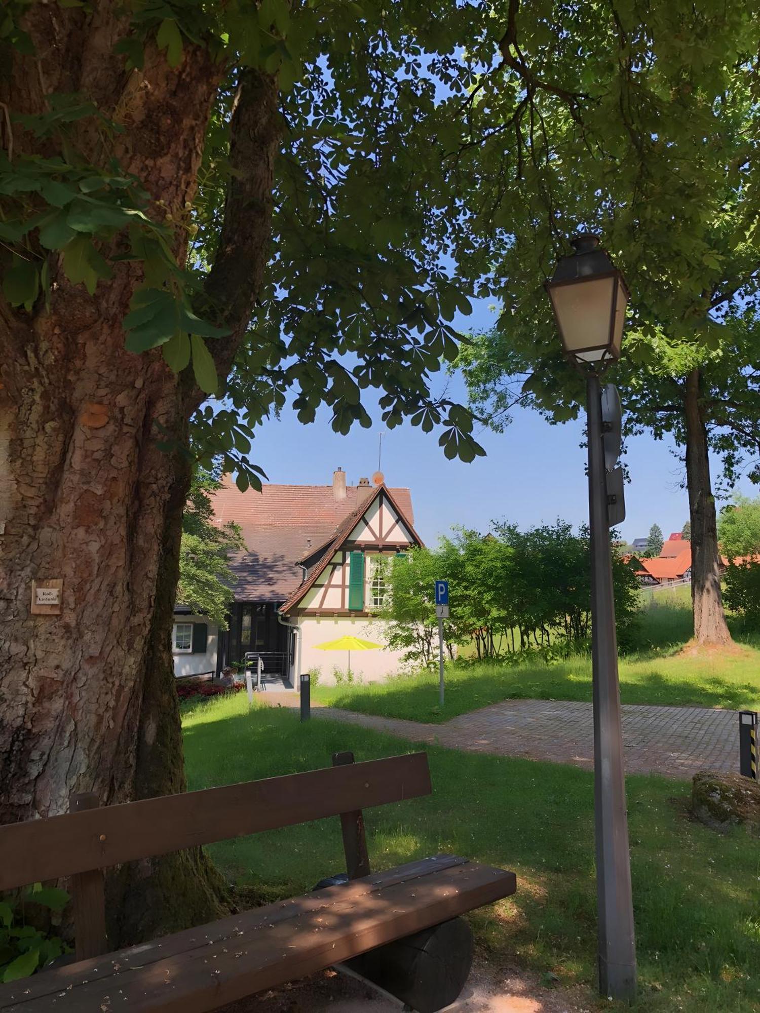 Ferienwohnung Am Keschtebaum, 70Qm ซัสบาควัลเดิน ภายนอก รูปภาพ